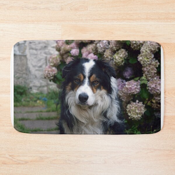Item preview, A boy called Laddie. designed and sold by Michael Haslam.
