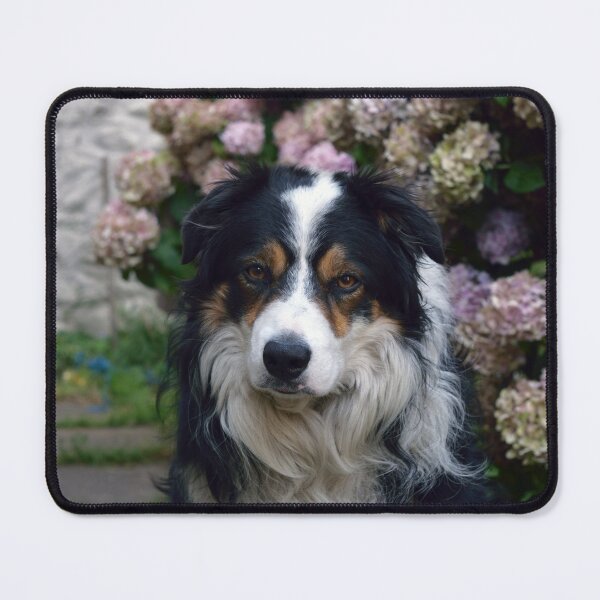 Item preview, A boy called Laddie. designed and sold by Michael Haslam.