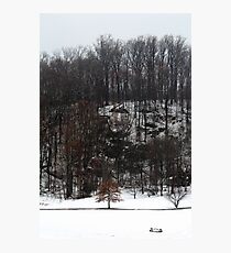 Spring Snowstorm Photographic Print