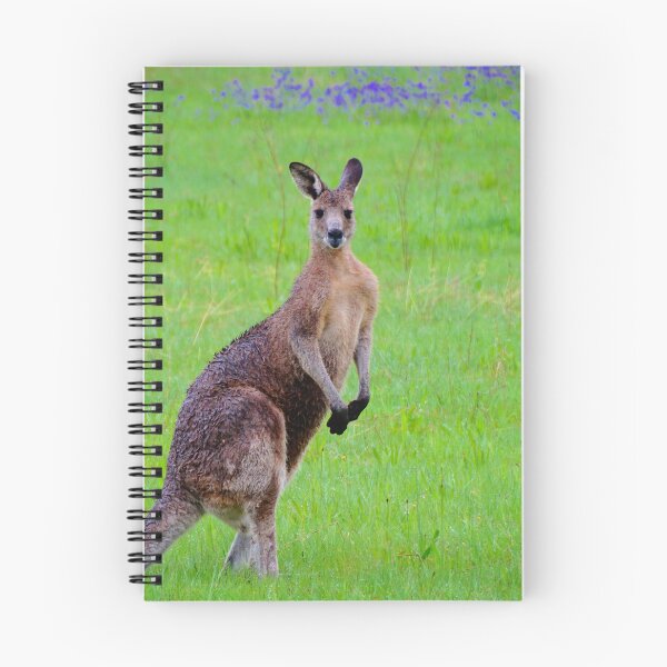 Item preview, The Roo designed and sold by D-GaP.