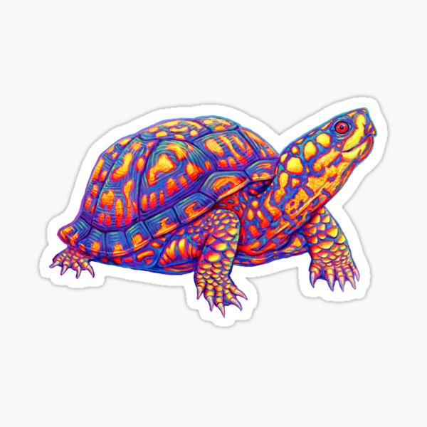Item preview, Rainbow Eastern Box Turtle designed and sold by Rebecca Wang.