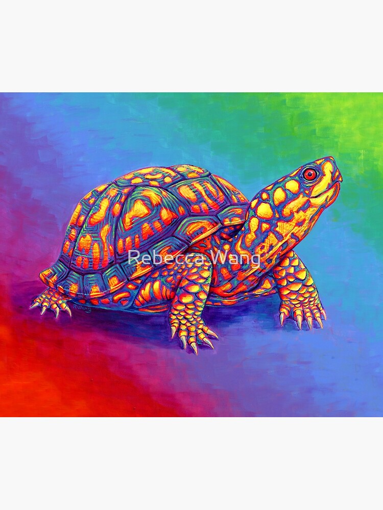 Artwork view, Rainbow Eastern Box Turtle designed and sold by Rebecca Wang