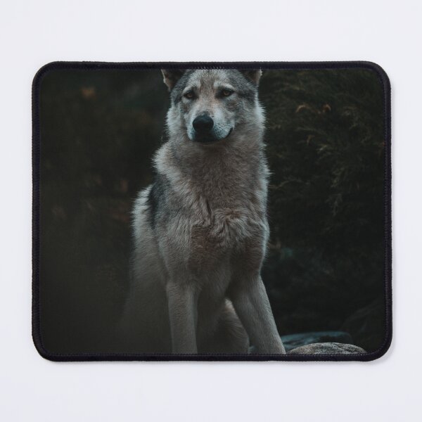 Item preview, Cute Zidika Wolf, Zidika On Moon, Animal Zidika Wolf- designed and sold by bartdesigner.