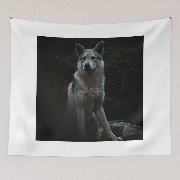 Item preview, Cute Zidika Wolf, Zidika On Moon, Animal Zidika Wolf- designed and sold by bartdesigner.