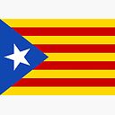 Estelada Flag Catalan Spain Spanish Blue Estelada Senyera Estelada Starred Flag Lone Star Flag Poster By Tomsredbubble Redbubble