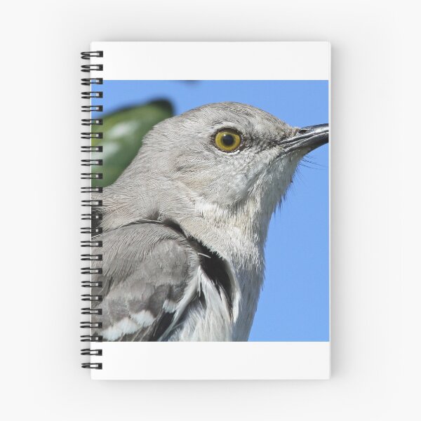 Item preview, Mocking bird up close and personal designed and sold by Anthony Goldman.