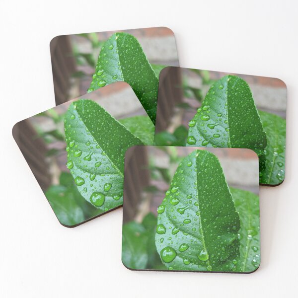 Item preview, After The Rain designed and sold by Jkund19.