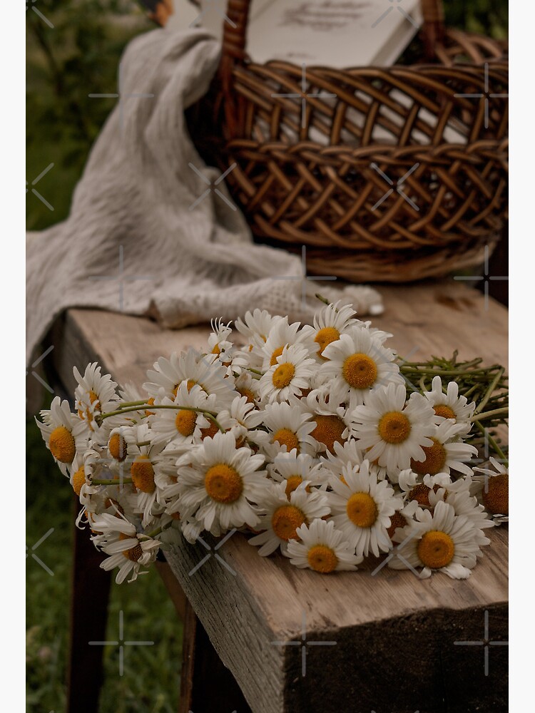 White flowers with brown background | Art Board Print