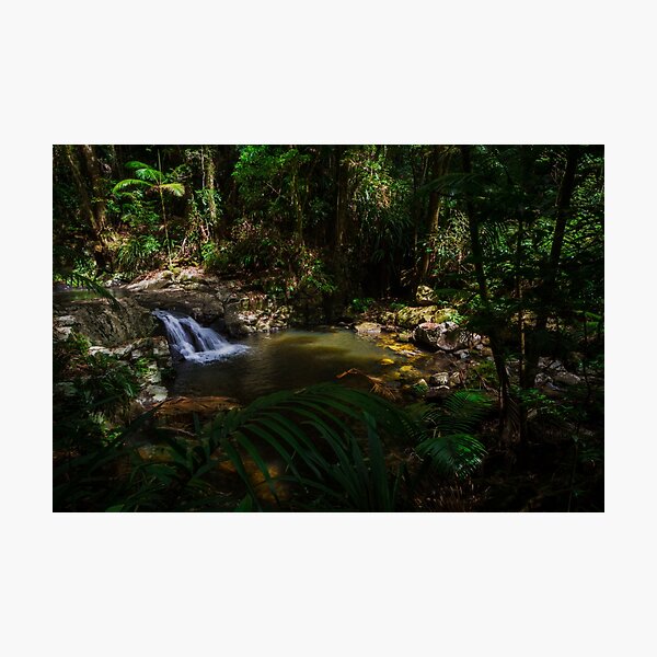 Item preview, The Secret Pool | Protesters Falls, Nimbin designed and sold by Daniel Watts.