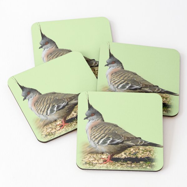 Item preview, Crested pigeon designed and sold by indiafrankk.