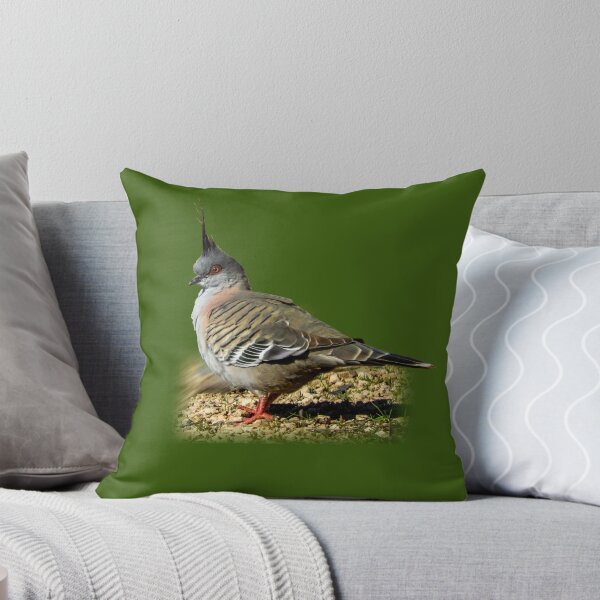 Item preview, Crested pigeon designed and sold by indiafrankk.