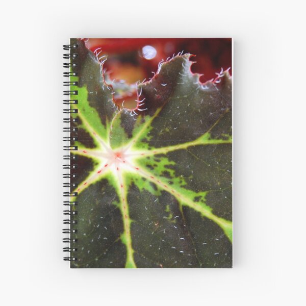 Red Mist at Dawn Spiral Notebook