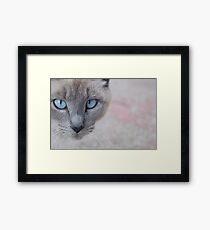 Tough Framed Print