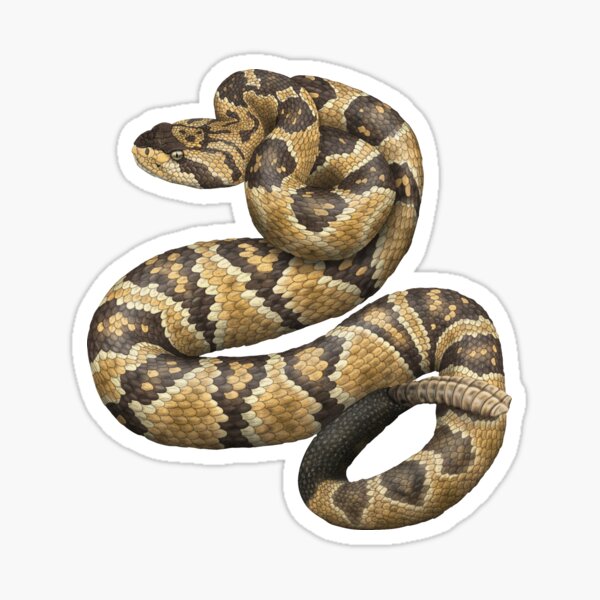 Item preview, Black-Tailed Rattlesnake designed and sold by CatchItCreation.