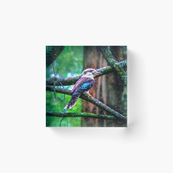 Item preview, Blue Winged Kookaburra on a Branch - Digital Art designed and sold by Steven Jodoin.