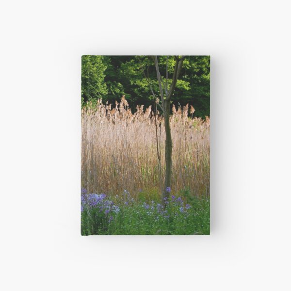 Into the Woods Hardcover Journal