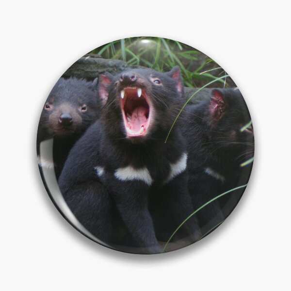 Item preview, Tasmanian devils at the zoo, Australia designed and sold by FranWest.