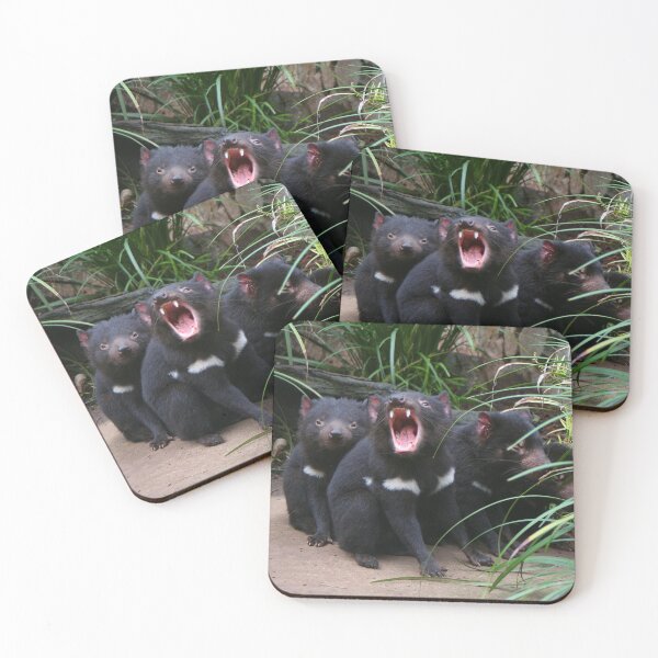 Item preview, Tasmanian devils at the zoo, Australia designed and sold by FranWest.
