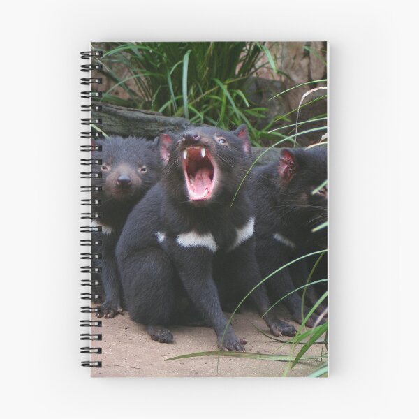 Artikelvorschau, Tasmanische Teufel im Zoo, Australien entworfen und verkauft von FranWest.