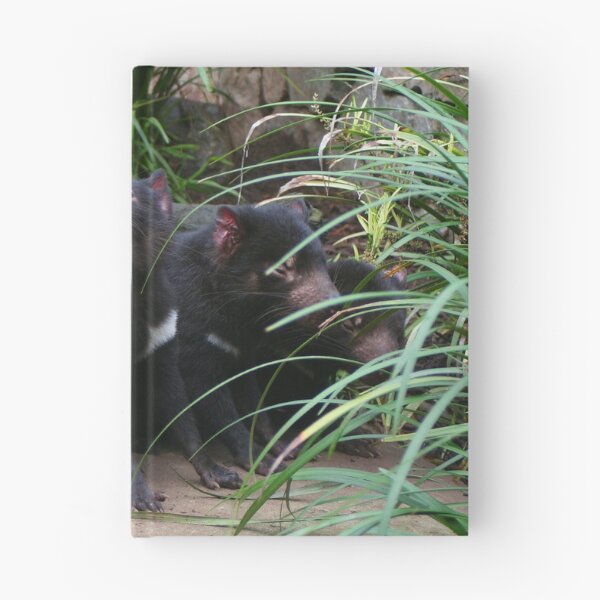 Item preview, Tasmanian devils at the zoo, Australia designed and sold by FranWest.