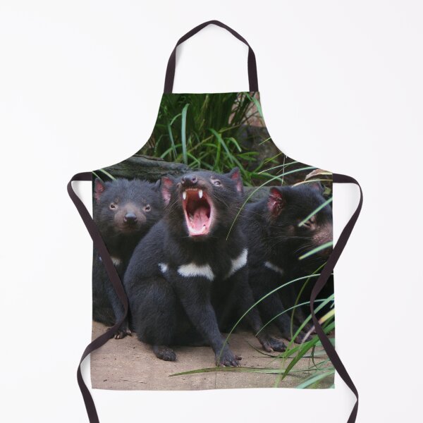 Item preview, Tasmanian devils at the zoo, Australia designed and sold by FranWest.