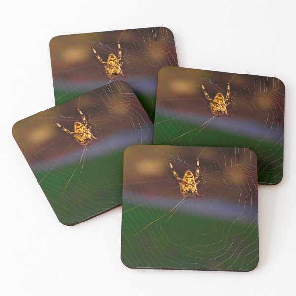 Item preview, Spider on the Web in the Morning Light! designed and sold by Mickangelhere.