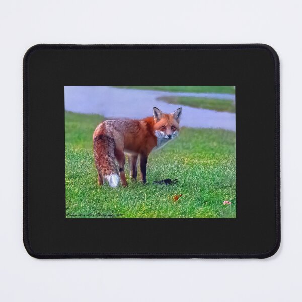 Item preview, Foxy Says Please Place Your Used Masks in the Garbage Bins designed and sold by Annariaart.