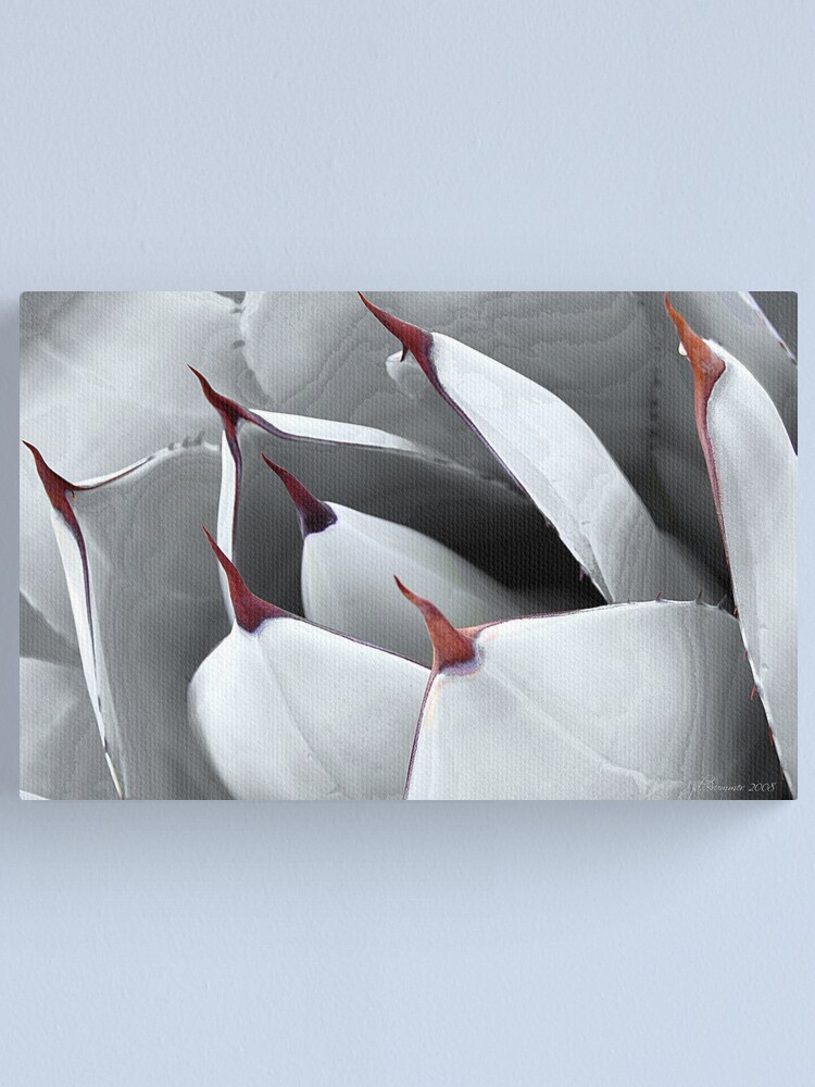 Alternate view of Points of View Canvas Print