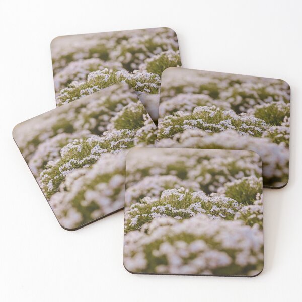 Item preview, Golden Hour Field designed and sold by PixByAlina.