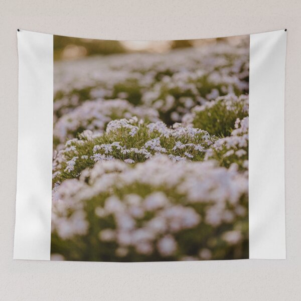 Item preview, Golden Hour Field designed and sold by PixByAlina.