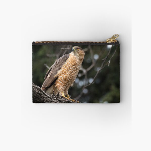 Item preview, Cooper's Hawk designed and sold by Eivor Kuchta.