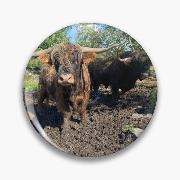 Artikelvorschau, Scottish Highland Cattle Bulls 4022 entworfen und verkauft von SaarelaHighland.