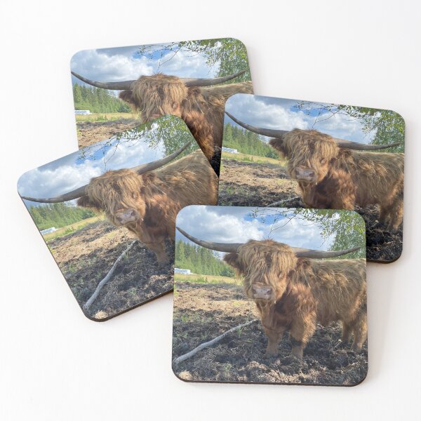 Artikelvorschau, Scottish Highland Cattle Bull 4023 entworfen und verkauft von SaarelaHighland.