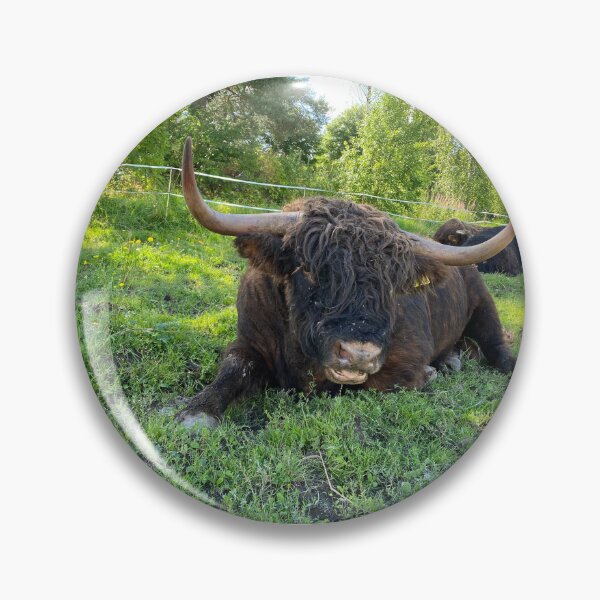 Artikelvorschau, Scottish Highland Cattle Bull 4024 entworfen und verkauft von SaarelaHighland.