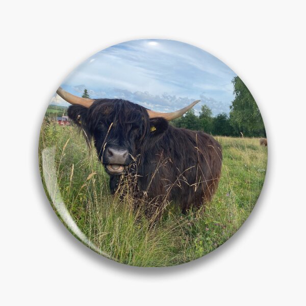 Artikelvorschau, Scottish Highland Cattle Cow 4027 entworfen und verkauft von SaarelaHighland.