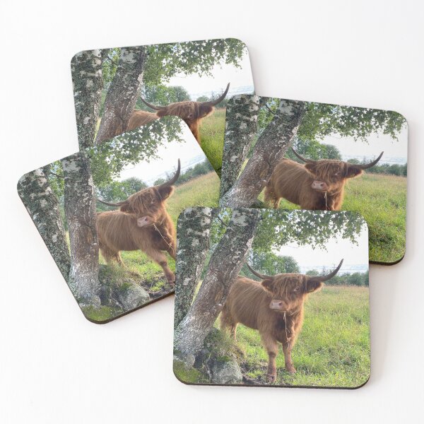 Artikelvorschau, Scottish Highland Cattle Cow 4028 entworfen und verkauft von SaarelaHighland.