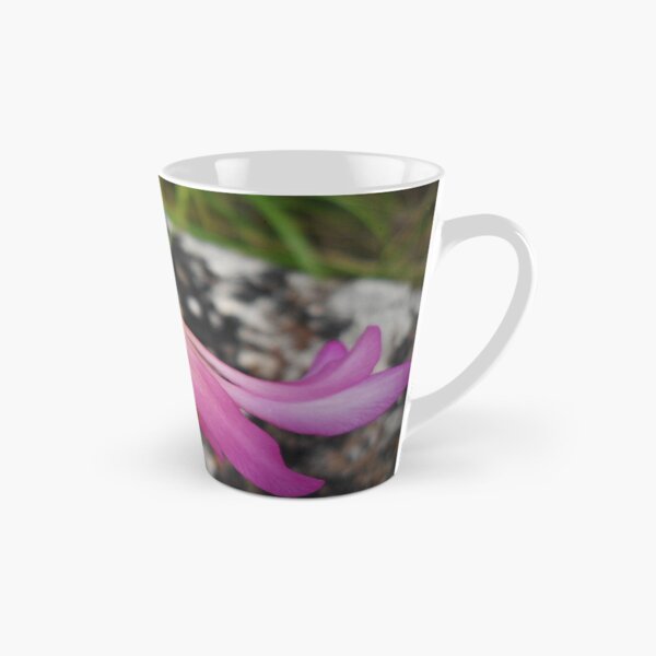 Item preview.