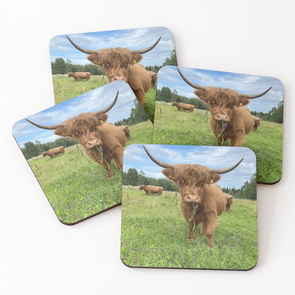 Item preview, Scottish Highland Cattle Cow 4030 designed and sold by SaarelaHighland.