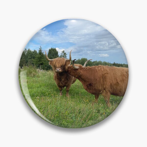 Artikelvorschau, Scottish Highland Cattle Cows 4031 entworfen und verkauft von SaarelaHighland.