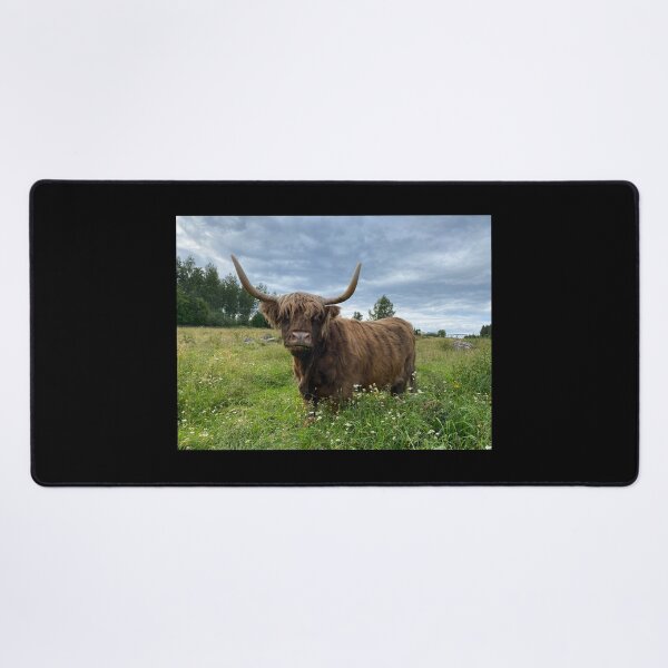 Item preview, Scottish Highland Cattle Brindle Cow 4032 designed and sold by SaarelaHighland.