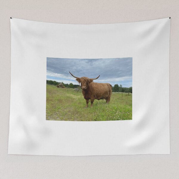 Item preview, Scottish Highland Cattle Cow 4033 designed and sold by SaarelaHighland.