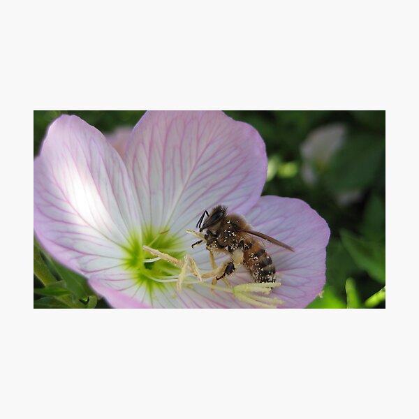 Item preview, Bee with pollen designed and sold by Shemj.