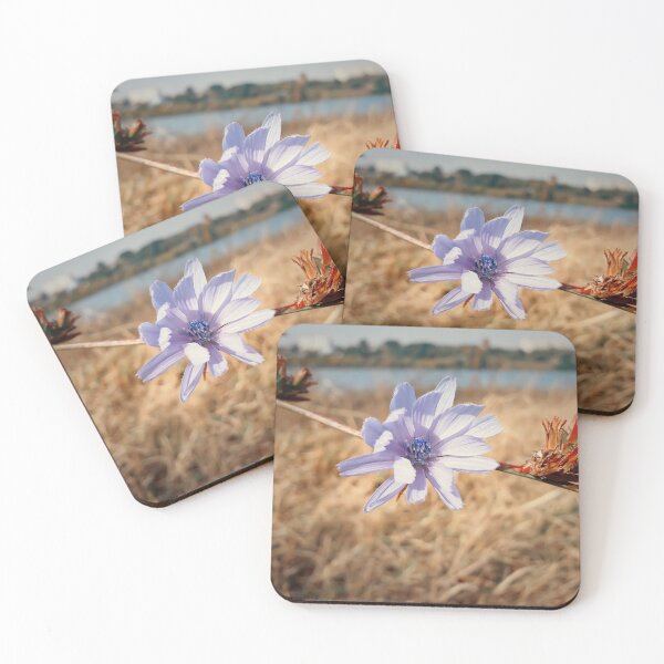Item preview, blue chicory flower designed and sold by psychoshadow.