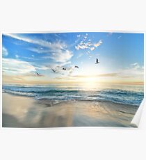 Seagulls Poster
