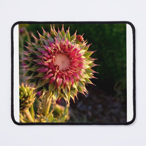 Item preview, Thistle & Friend designed and sold by OnigiriSuiko.