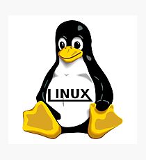 Tux Linux Photographic Print