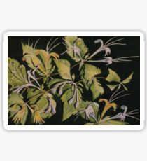 Honeysuckles Sticker