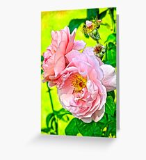 Pretty in pink Greeting Card