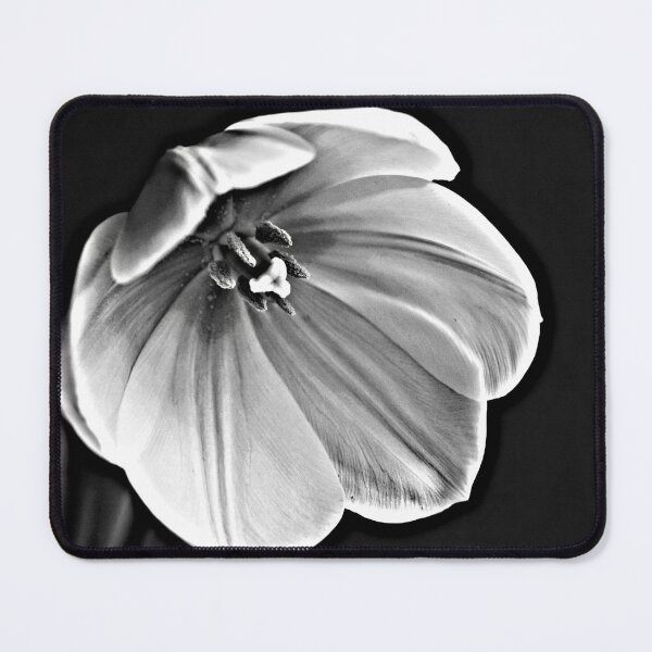 Item preview, BLOOMS-NOIR designed and sold by MidnightStudio.