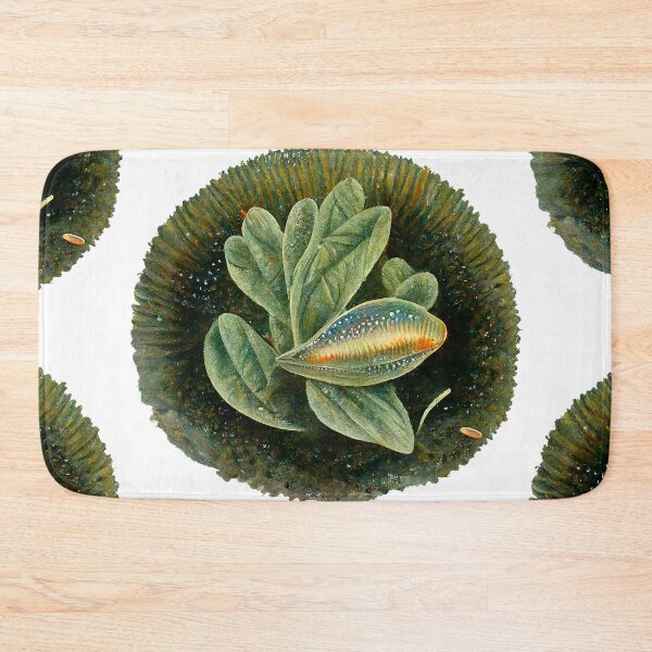 Item preview, Aquamundi designed and sold by Fantasiarium.